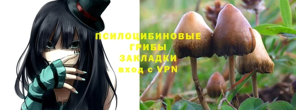 jwh Приозерск