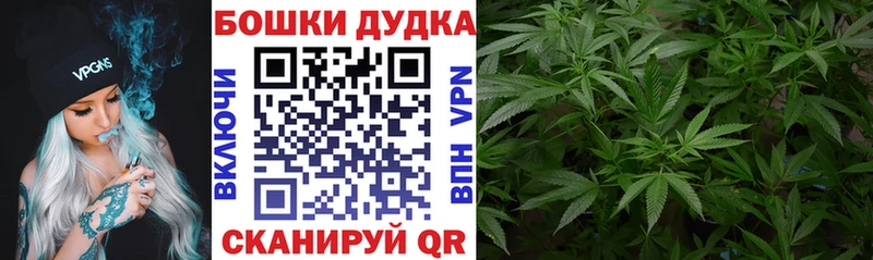 Бошки Шишки White Widow  купить  цена  Ясный 